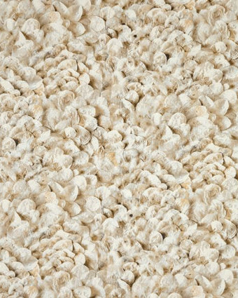 Salt 65308 Arco Nutmeg