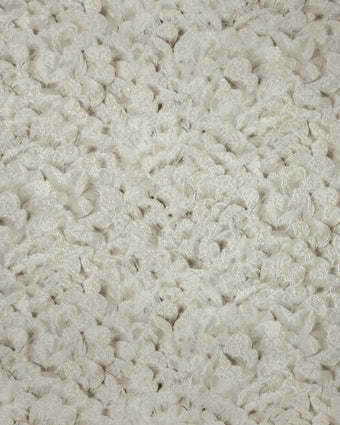 Salt 65306 Arco Pinenut