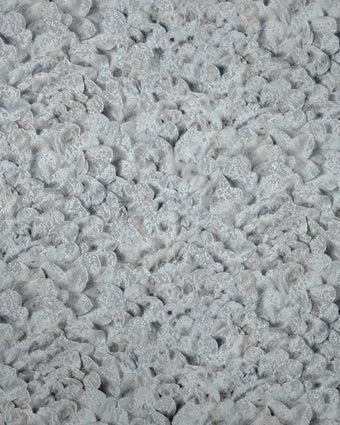 Salt 65305 Arco Poppy Seed