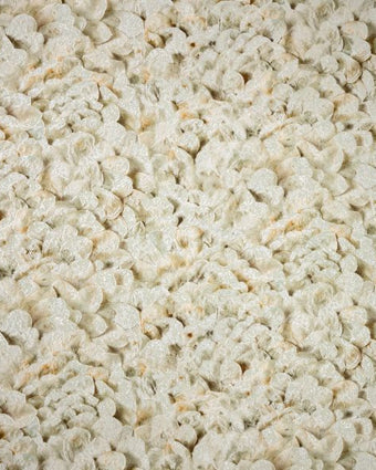 Salt 65304 Arco Sage