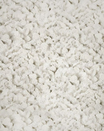 Salt 65310 Arco Sesame