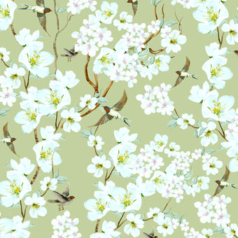 Chinoiserie inspired wallpaper featuring delicate white blossom flowers, flowering branches, and swallows in flight on a soft sage green background.
