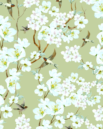 Chinoiserie inspired wallpaper featuring delicate white blossom flowers, flowering branches, and swallows in flight on a soft sage green background.
