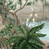 A close up of a tropical mural with lush green palms and foliage surrounding a blue lagoon with soft mountains in the background.
