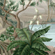 A close up of a tropical mural with lush green palms and foliage surrounding a blue lagoon with soft mountains in the background.
