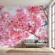 Vibrant 'Mankai' cherry blossom mural on a large living room wall with natural daylight highlighting the floral design.