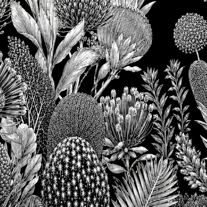 Black and white botanical wallpaper with a seamless repeat, featuring finely illustrated proteas, banksias, alliums, and native foliage. 