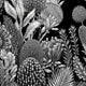 Black and white botanical wallpaper with a seamless repeat, featuring finely illustrated proteas, banksias, alliums, and native foliage. 