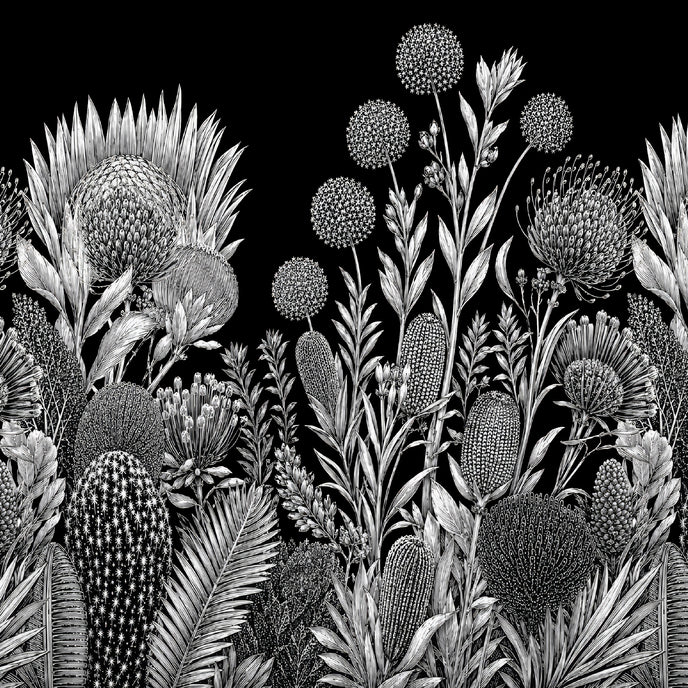 Black and white botanical wallpaper with a seamless repeat, featuring finely illustrated proteas, banksias, alliums, and native foliage. 