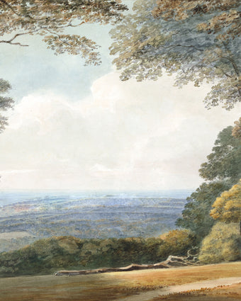 Watercolour landscape mural showing a forest with a path leading to a distant view. 