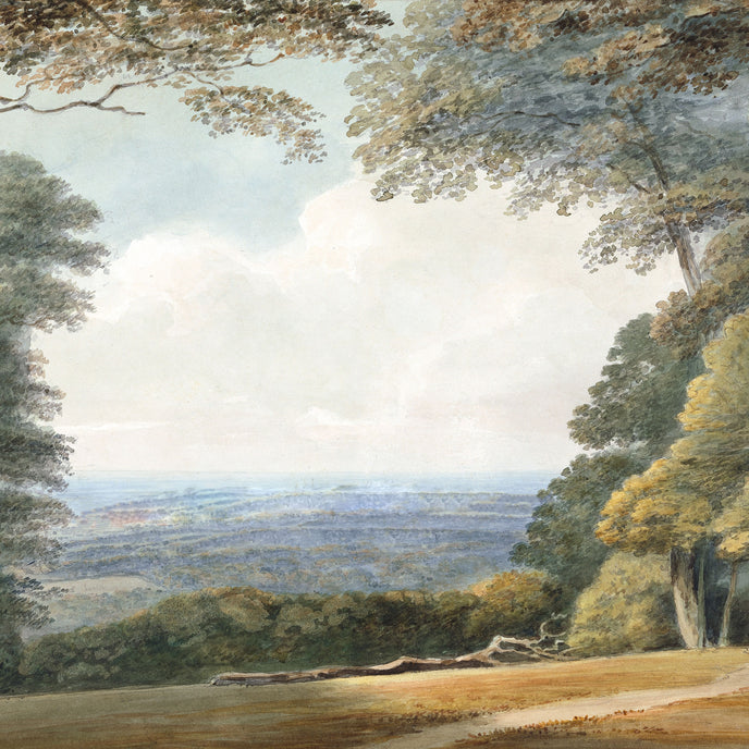Watercolour landscape mural showing a forest with a path leading to a distant view. 