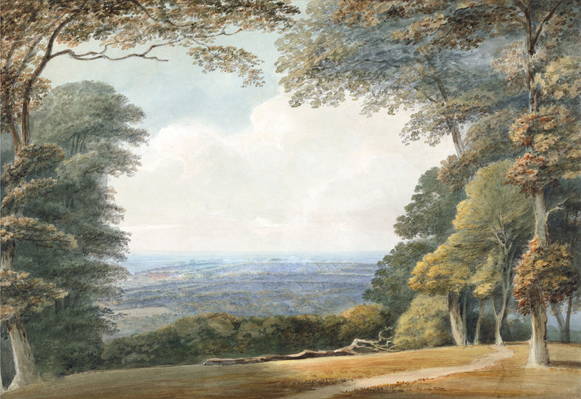 Watercolour landscape mural showing a forest with a path leading to a distant view. 