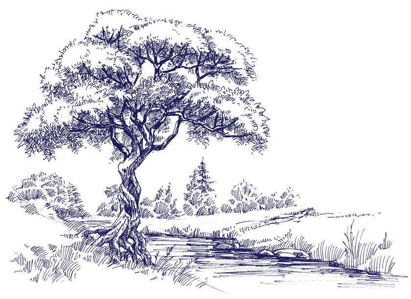 Navy illustrated mural of a large tree beside a calm river in a peaceful countryside landscape.