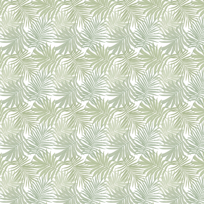 Botanical wallpaper featuring overlapping sage green palm leaves on a white background, creating a fresh tropical pattern with a soft, coastal feel. 