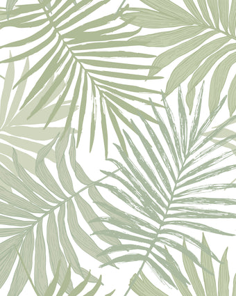 Botanical wallpaper featuring overlapping sage green palm leaves on a white background, creating a fresh tropical pattern with a soft, coastal feel. 