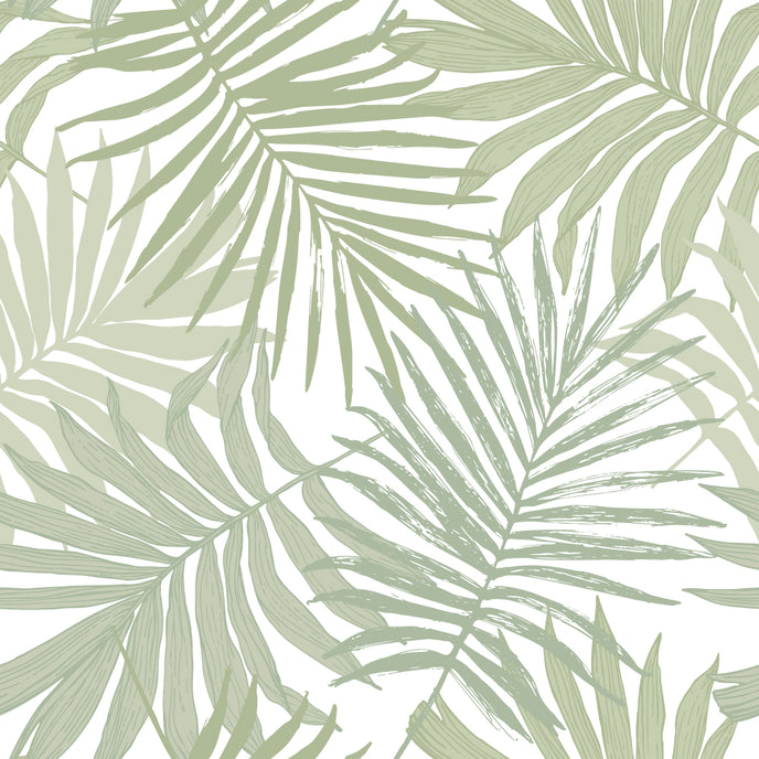 Botanical wallpaper featuring overlapping sage green palm leaves on a white background, creating a fresh tropical pattern with a soft, coastal feel. 