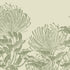 Botanical mural of hand drawn sage green pincushion proteas on a warm ivory background.