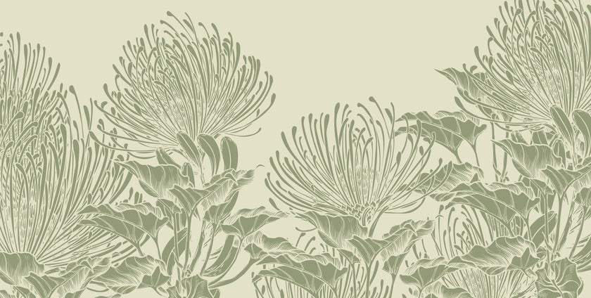 Botanical mural of hand drawn sage green pincushion proteas on a warm ivory background.