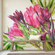 Hand painted watercolour mural featuring vibrant pink proteas with green leaves on a white background. Shown in a styled interior with a wooden bench and pillows.