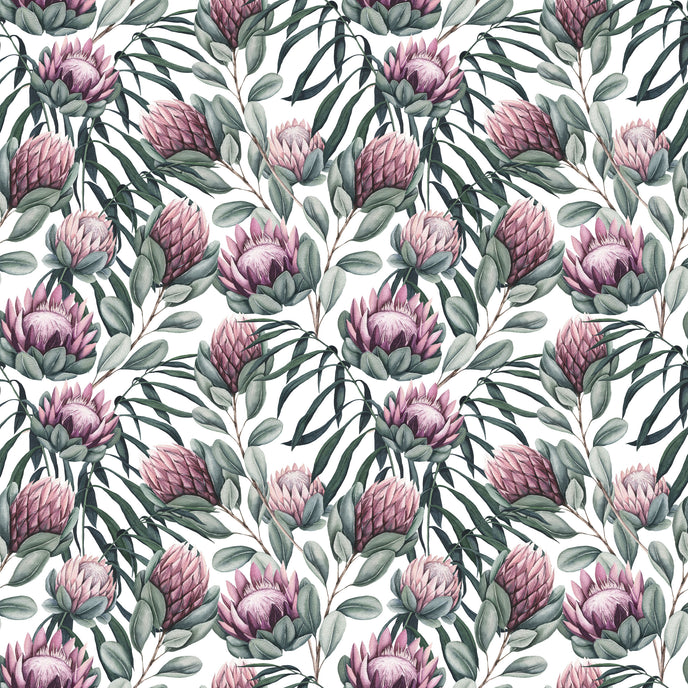 Botanical wallpaper with a seamless repeating pattern of hand painted king proteas, eucalyptus leaves, and soft sage green foliage on a white background.