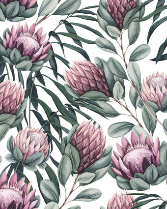 Botanical wallpaper with a seamless repeating pattern of hand painted king proteas, eucalyptus leaves, and soft sage green foliage on a white background.