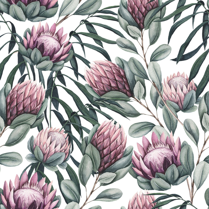 Botanical wallpaper with a seamless repeating pattern of hand painted king proteas, eucalyptus leaves, and soft sage green foliage on a white background.
