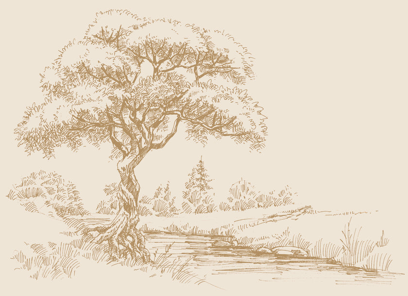Sepia coloured illustrated mural of a large tree beside a calm river in a peaceful countryside landscape.