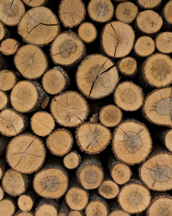 Side Profile Wood Logs  -  [Custom printed at R598/m²]