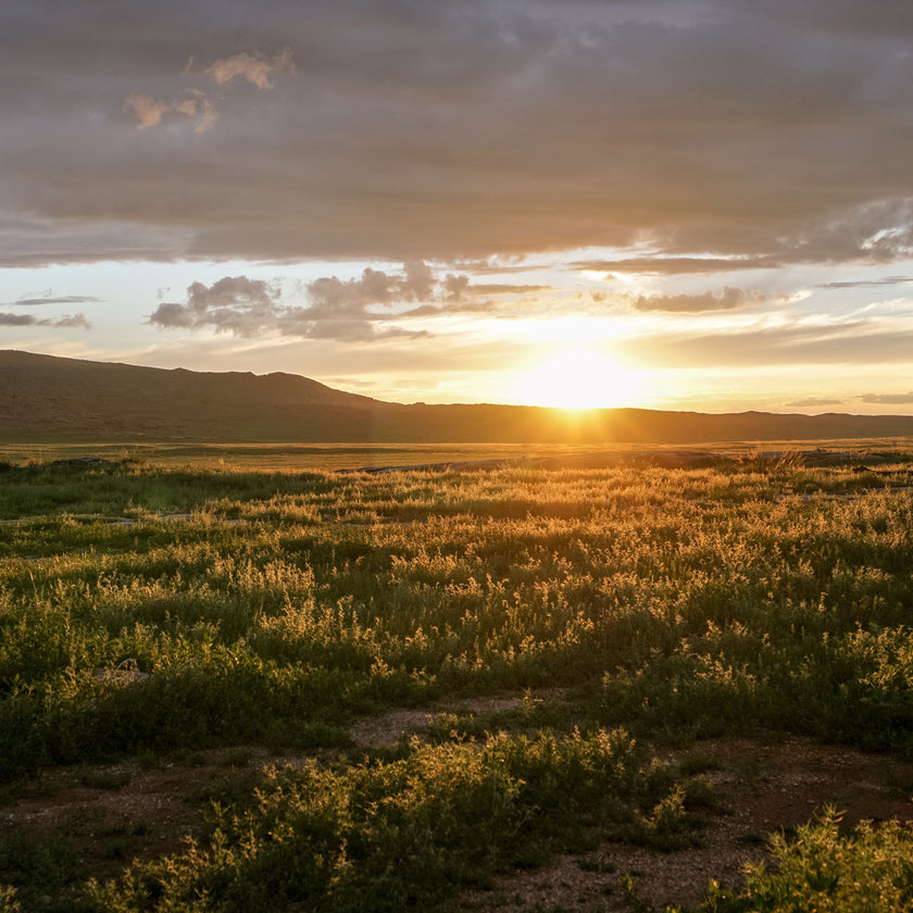The Last Few Rays  -  [Custom printed at R560/m²]