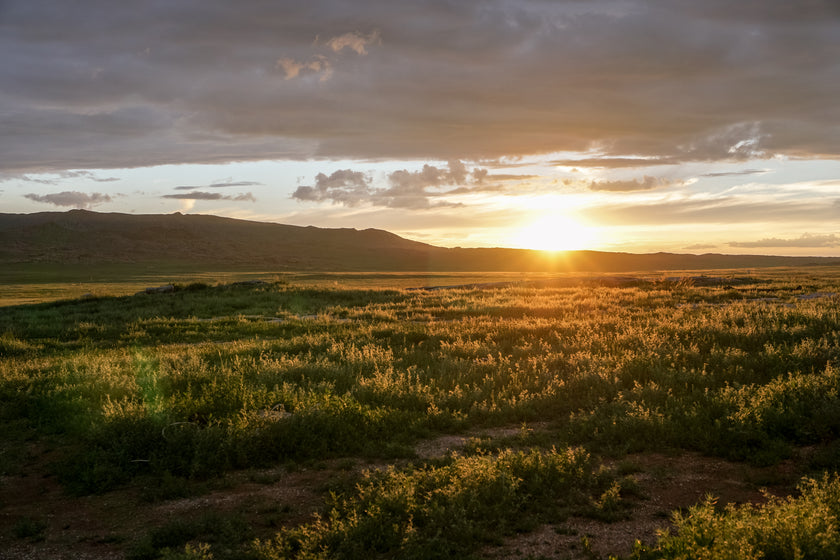 The Last Few Rays  -  [Custom printed at R560/m²]