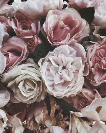 Pink Roses and Peony's  -  [Custom printed at R598/m²]