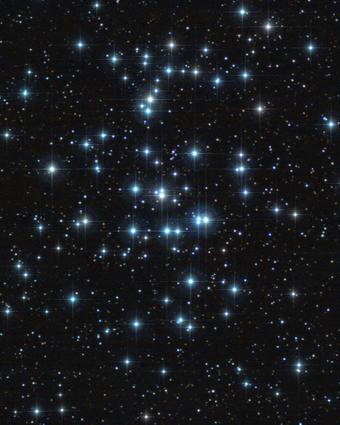 Twinkle Twinkle on the Ceiling  -  [Custom printed at R598/m²]