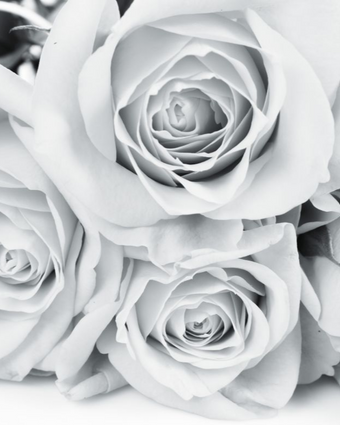 Monochrome Roses  -  [Custom printed at R598/m²]
