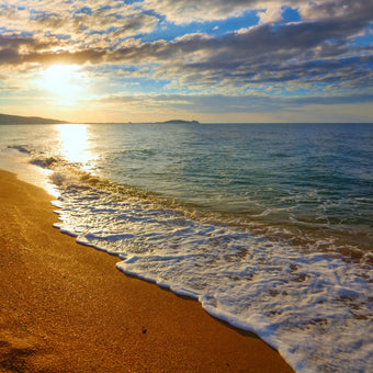 Simple Pleasures  -  [Custom printed at R560/m²]