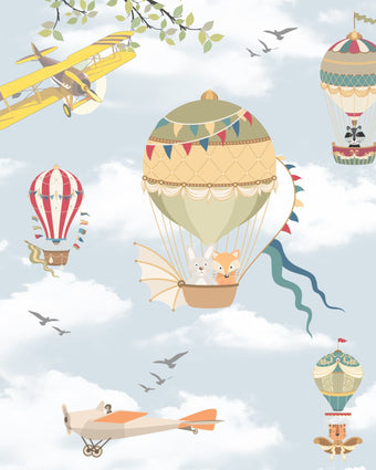 Your Hot air Balloon or Mine?  -  [Custom printed at R598/m²]