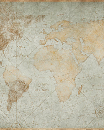 Traveler's World Map  -  [Custom printed at R598/m²]
