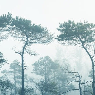 Morning Fog  - Original -  [Custom printed at R598/m²]