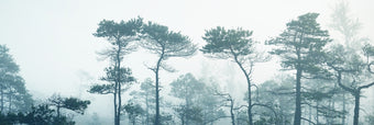 Morning Fog  - Original -  [Custom printed at R598/m²]