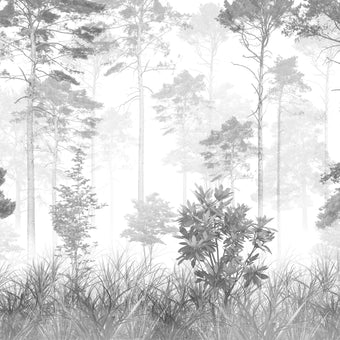 Forest Walk -  [Custom printed at R560/m²]