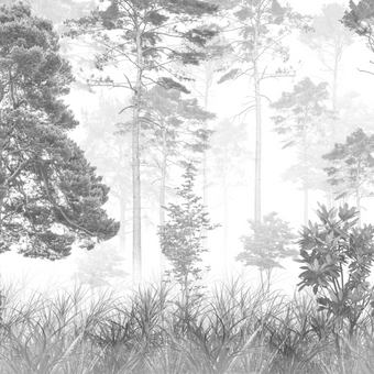 Forest Walk -  [Custom printed at R560/m²]