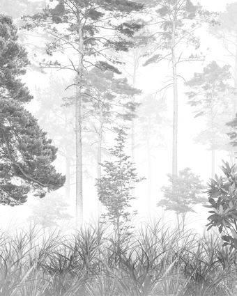 Forest Walk -  [Custom printed at R598/m²]