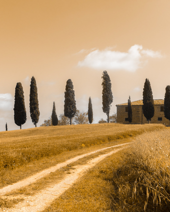 Tuscan Landscape  -  [Custom printed at R598/m²]