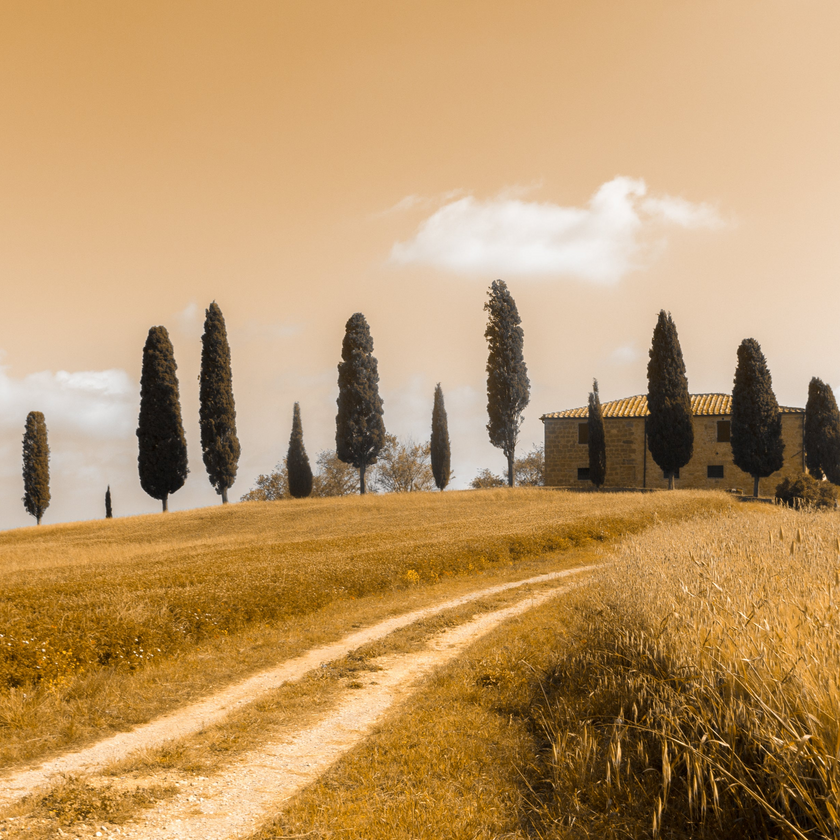 Tuscan Landscape  -  [Custom printed at R560/m²]