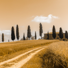 Load image into Gallery viewer, Tuscan Landscape  -  [Custom printed at R560/m²]
