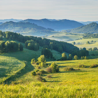 Roll With It  -  [Custom printed at R560/m²]