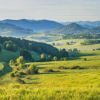 Roll With It  -  [Custom printed at R560/m²]