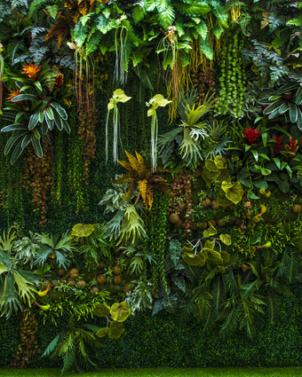 Living Wall -  [Custom printed at R598/m²]