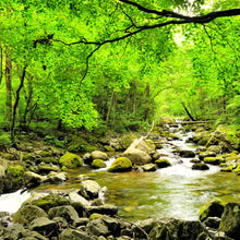 Load image into Gallery viewer, A River Runs Through It  -  [Custom printed at R560/m²]
