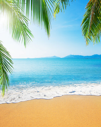 Hanging Palm Tropical Beach  -  [Custom printed at R598/m²]