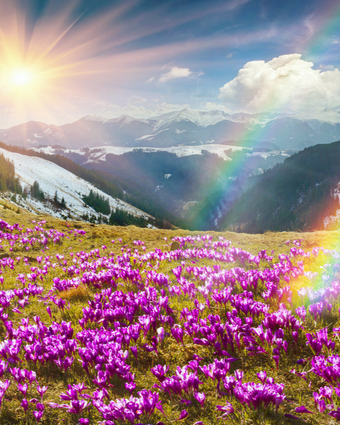 Spring Meadow  -  [Custom printed at R598/m²]